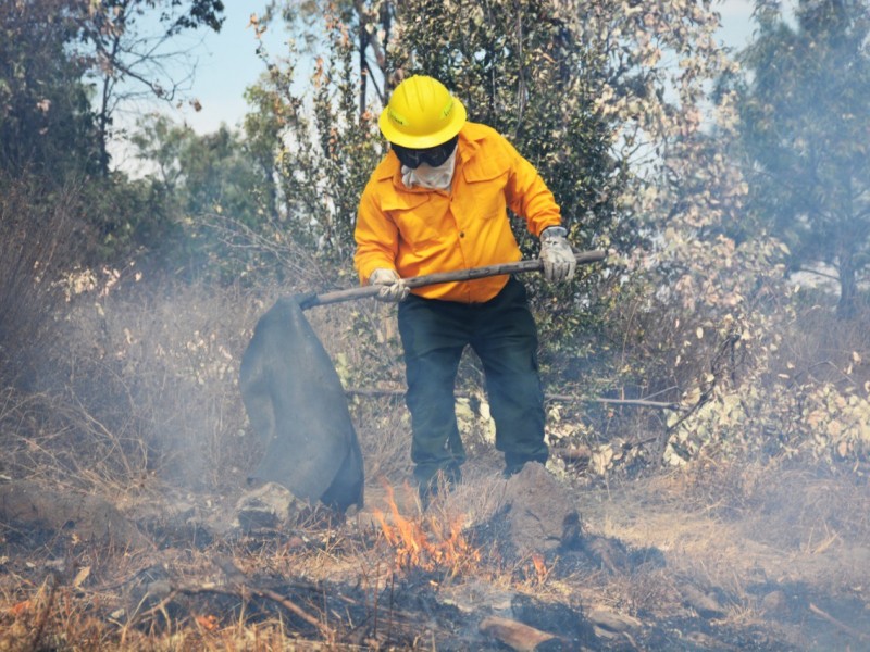 En 2020 disminuyó el número de incendios en el EdoMex