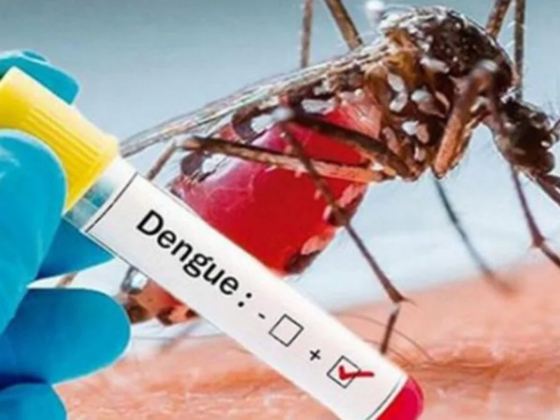 En 2023 hubo casos de dengue en durango: SSA