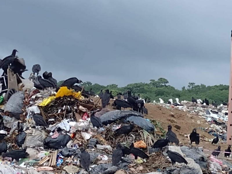 En 2024 municipios de Veracruz depositarán la basura en rellenos-sanitarios