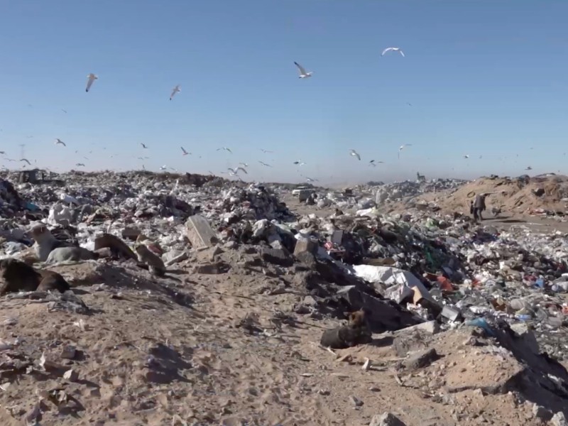 En 2024 se recolectaron 30,267 toneladas de basura en SLRC.