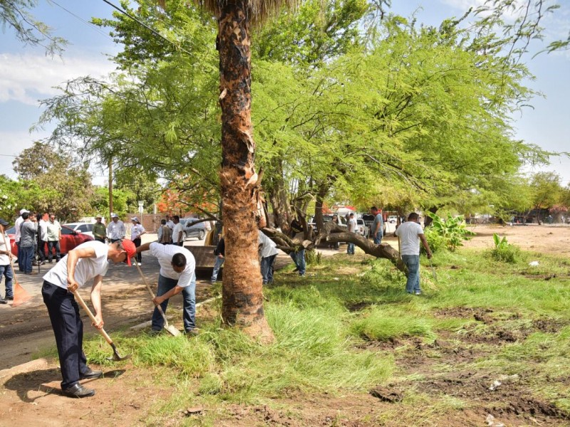 En 3 meses podría aprobarse Ley del Árbol en Sonora