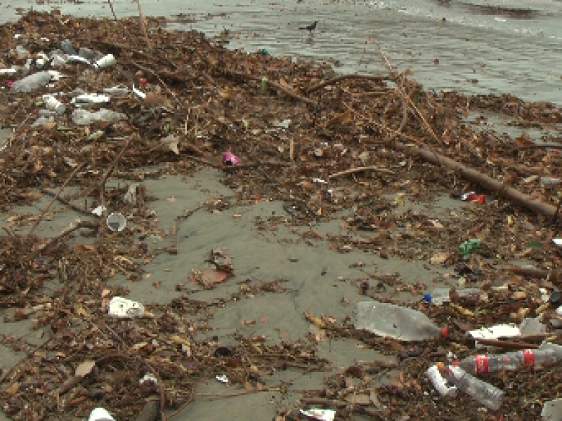 En 4 días recolectan 12 toneladas de basura