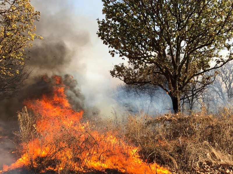 En activo 4 incendios en Jalisco