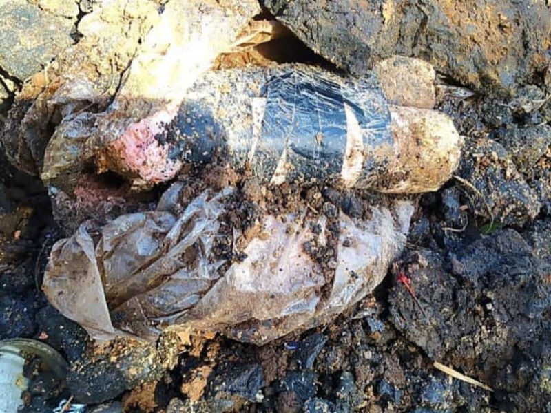En Agulilla, SSP y Sedena aseguran 3 artefactos explosivos