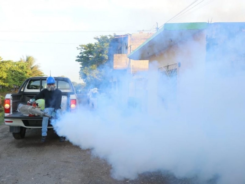 En Boca del Río arranca fumigación contra mosquitos