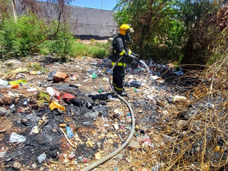 En Cabo San Lucas se reportan 3 incendios de basura diarios