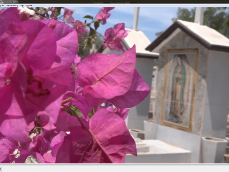 En Cajeme, si abrirán panteones para Día de Muertos