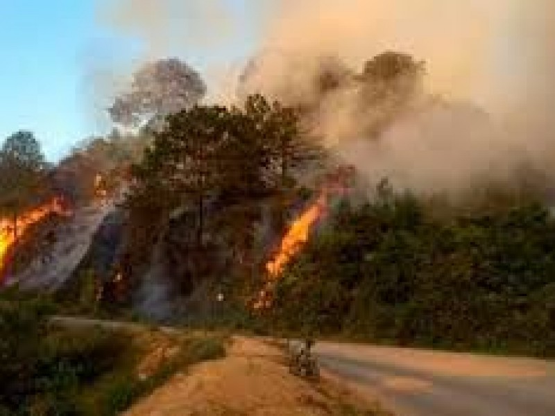 En centro y norte de Puebla se registran más incendios