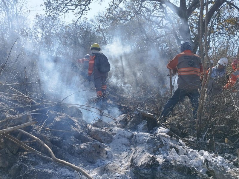 En Chiapas se reduce superficie afectada por incendios