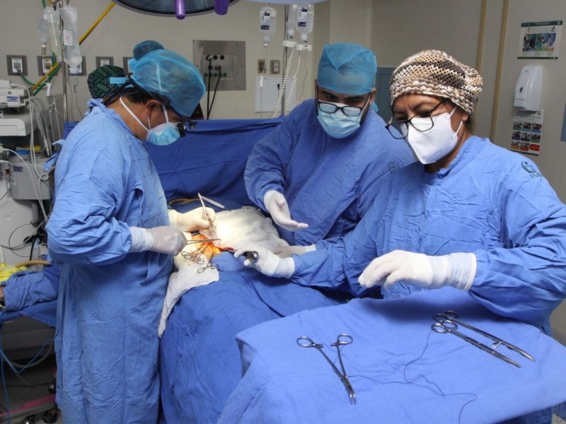 En Chiapas solo se realizan  trasplantes renales