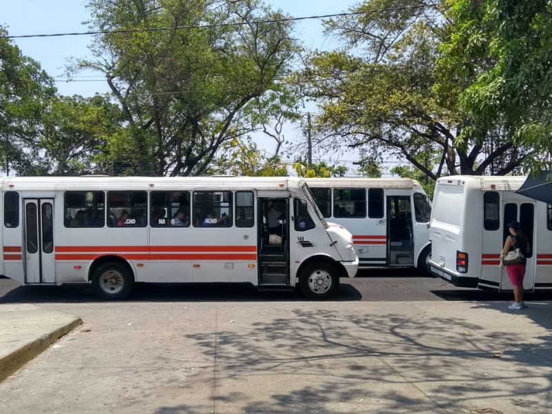 En Colima operan 316 camiones urbanos