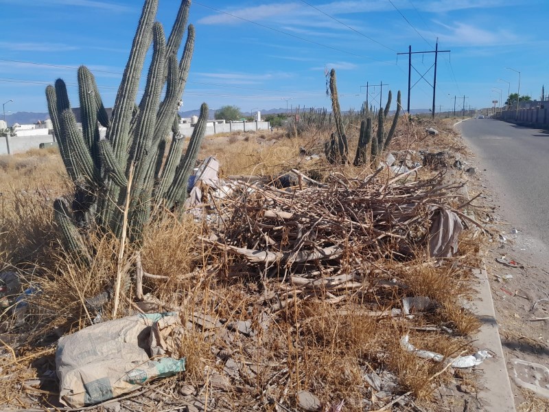 En Colinas del Sol fétidos olores por basureros clandestinos