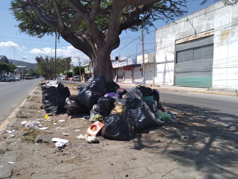 En colonias recolección se demora por más de una semana