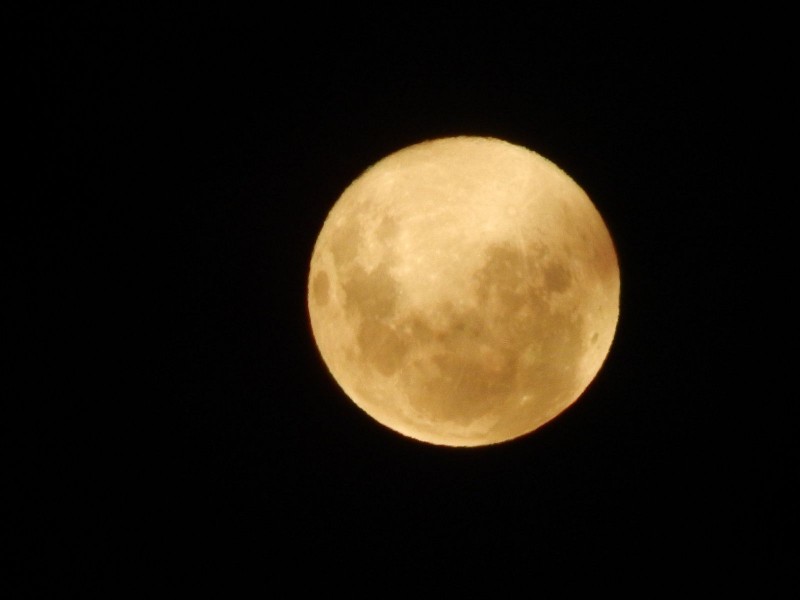 ¿En dónde y cómo ver la luna llena “de nieve”?