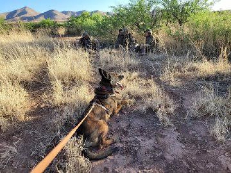 En Douglas, Arizona la patrulla fronteriza detuvo a 23 migrantes