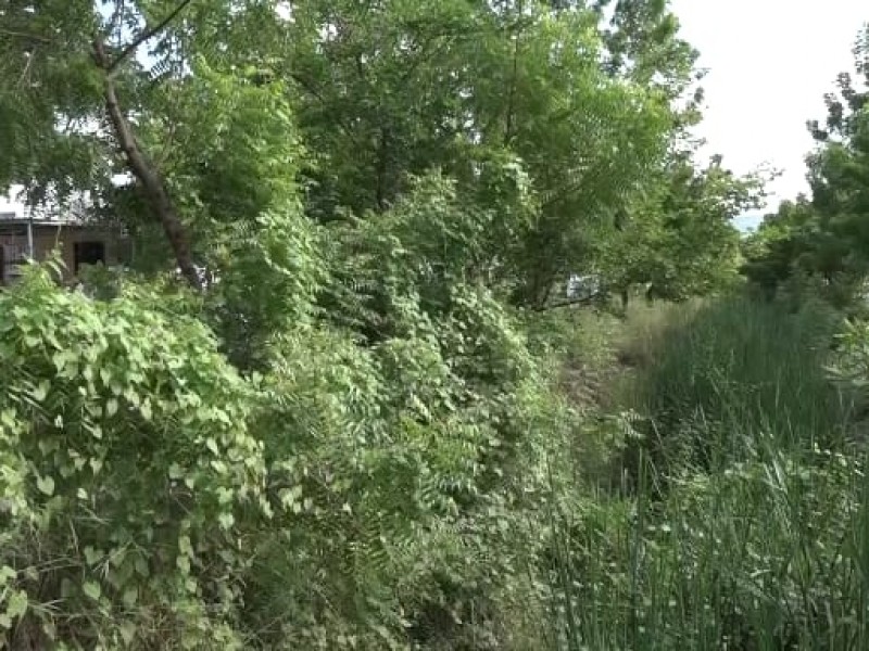 En el abandono el sur de Mazatlán