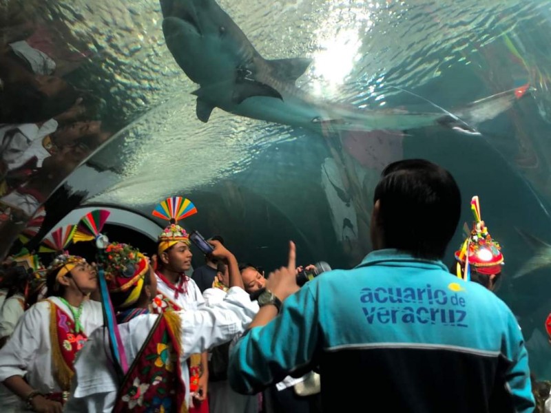En el acuario de Veracruz realizarán bodas colectivas para 14 febrero
