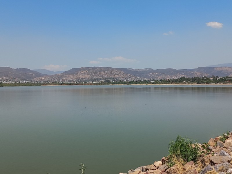 En el campo de Guanajuato no hay riesgo de sequia