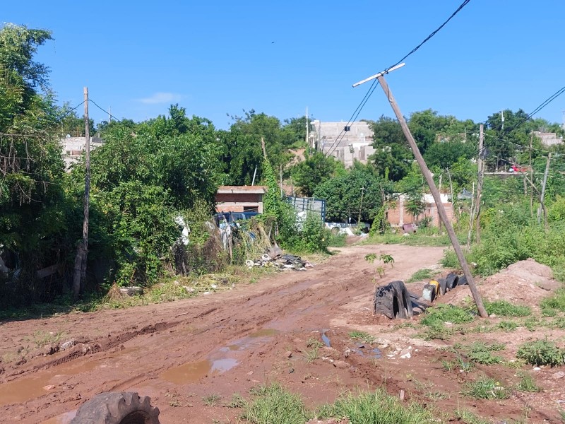 En el olvido la colonia Bicentenario en Culiacán