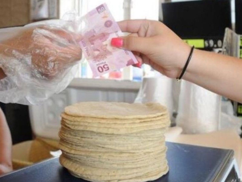 En enero podría incremenatar precio de la masa y tortilla