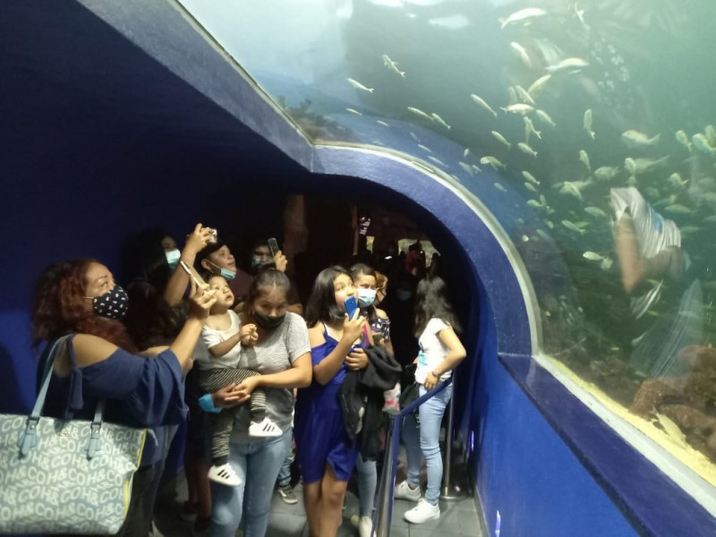 En espera de dar a conocer Consejo del Aquarium:PMA