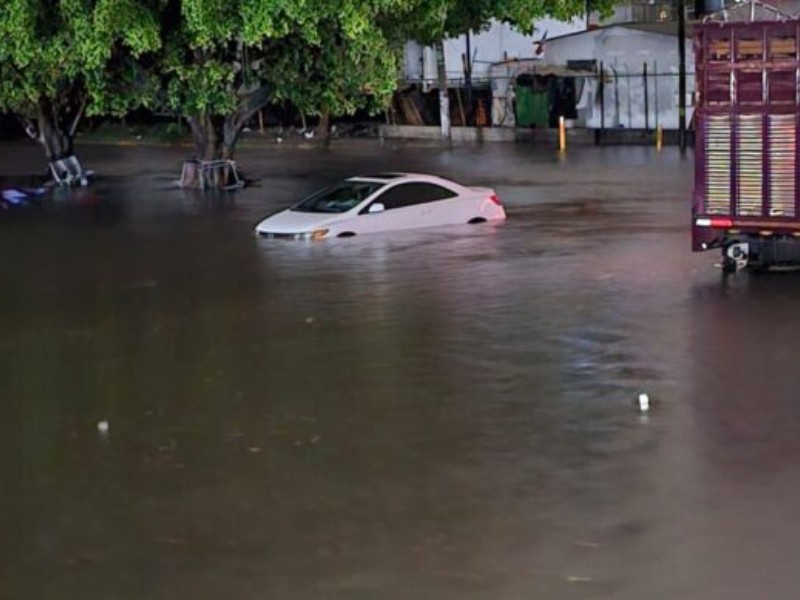En Guadalajara tormenta deja inundaciones y caída de árboles