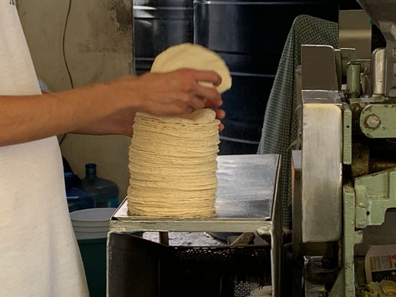 En Guanajuato, el kilo de tortilla se mantiene en $22.00