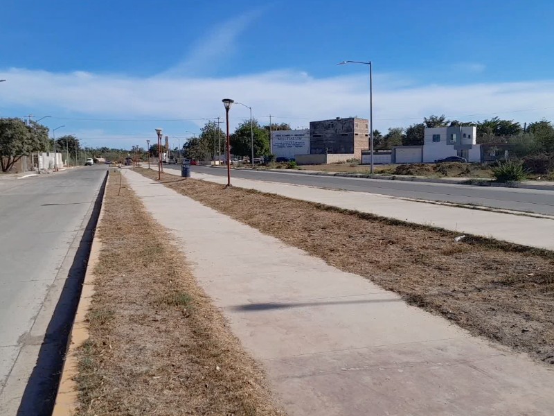 En Guasave implementarán riego por goteo para mantenimiento de camellones