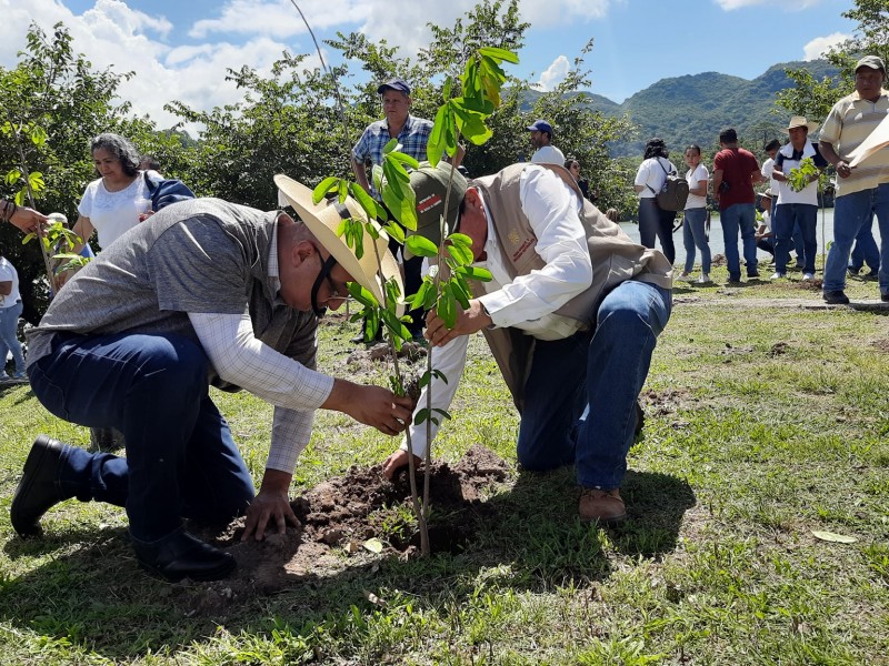 En Guerrero, grupos criminales impiden control de incendios: Semaren