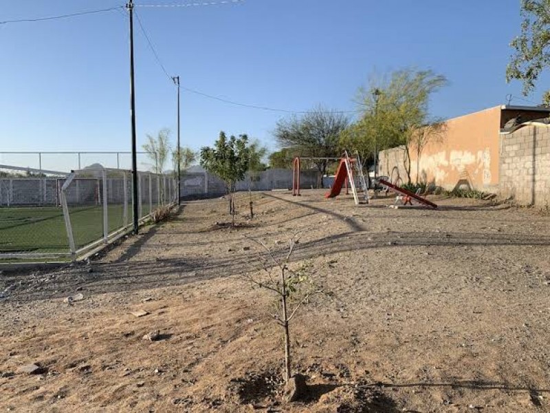 En Hermosillo hay alrededor de 40 colonias sin regularizar propiedad