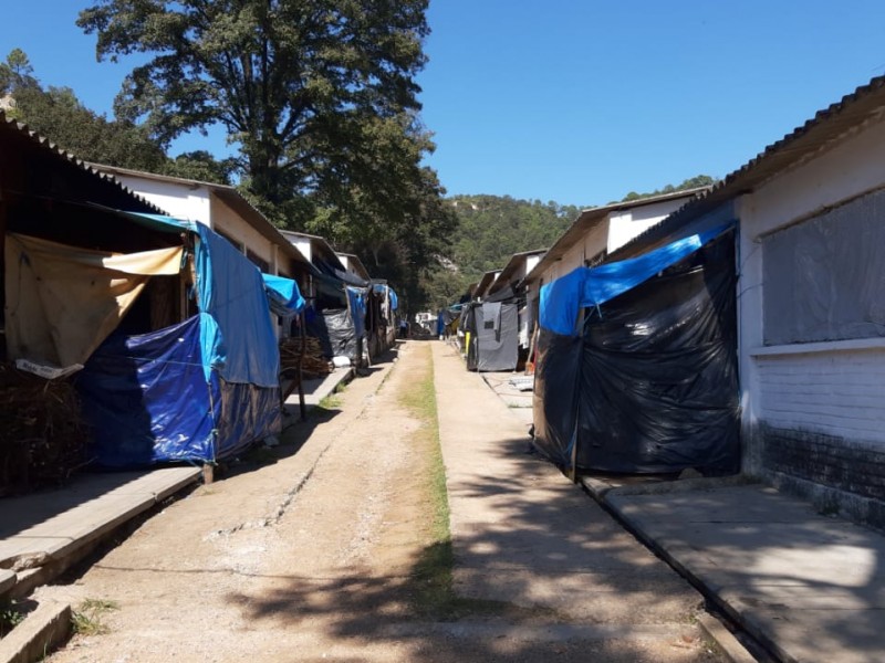 En incertidumbre desplazados de Chenalhó