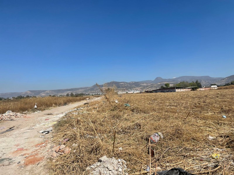 En la colonia Los Ángeles existe  terreno mal estado