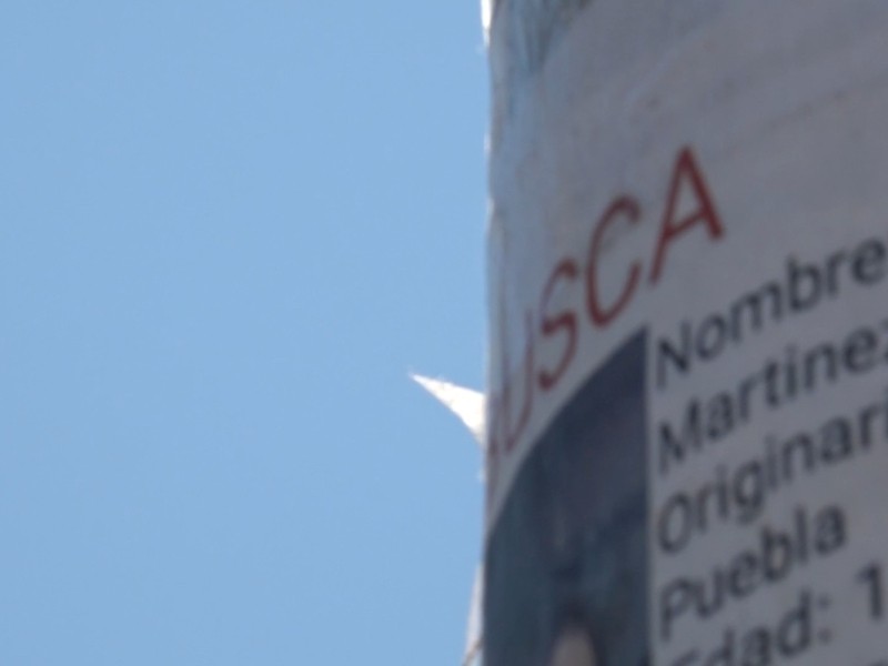 En la región son mujeres las que más desaparecen