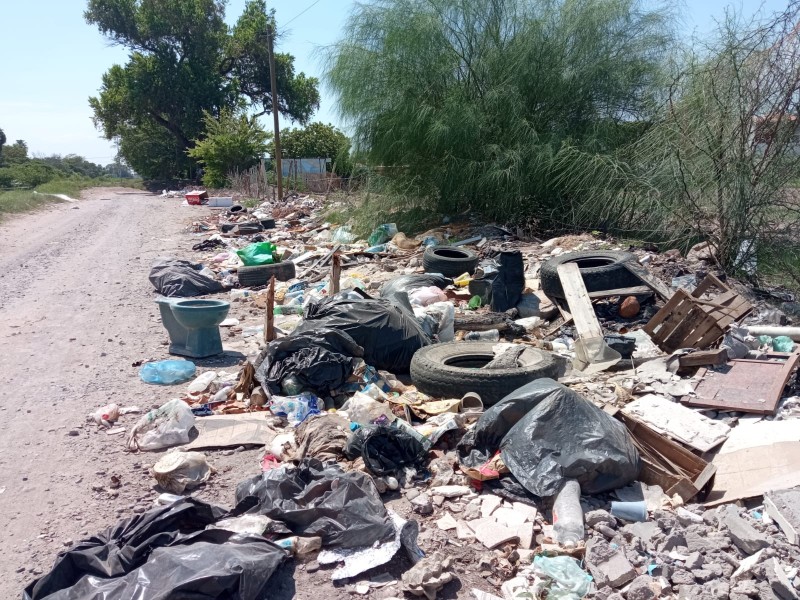 En la San Fernando piden retirar panteón clandestino de animales