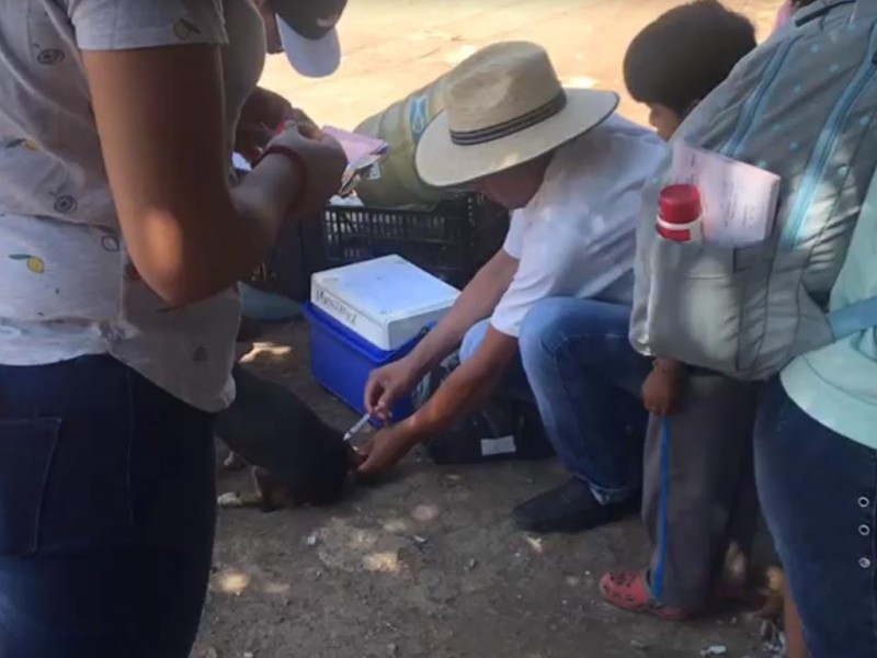 En marcha segunda semana de vacunación canina