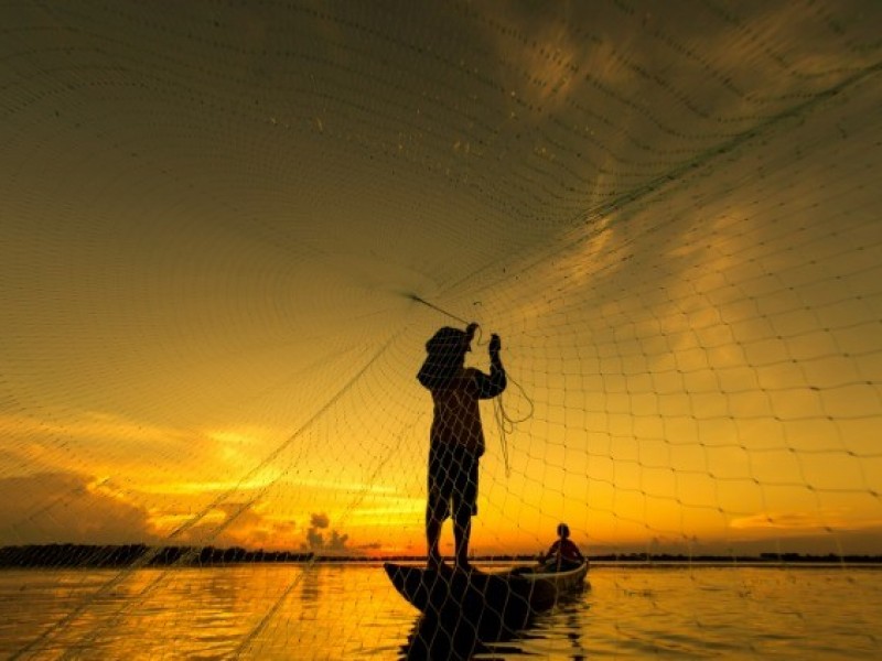 En México 43% de las especies pesqueras se encuentren sobrexplotadas