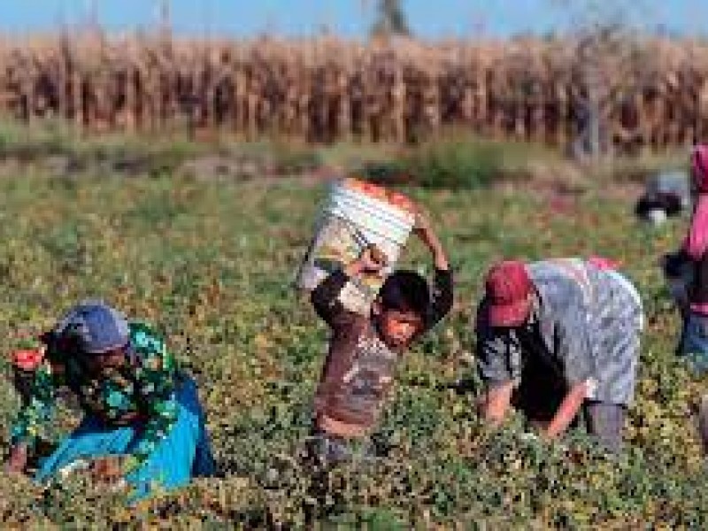 En México, la economía informal ocupa a más trabajadores.