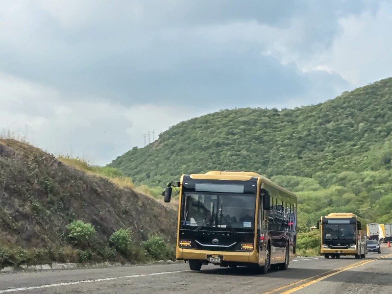 En opacidad, compras de Nahle a Yutong en Veracruz y Coatza