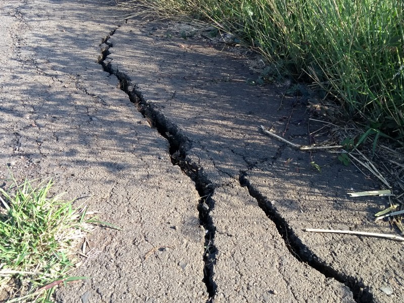 En pésimas condiciones camino sacacosechas en Zamora