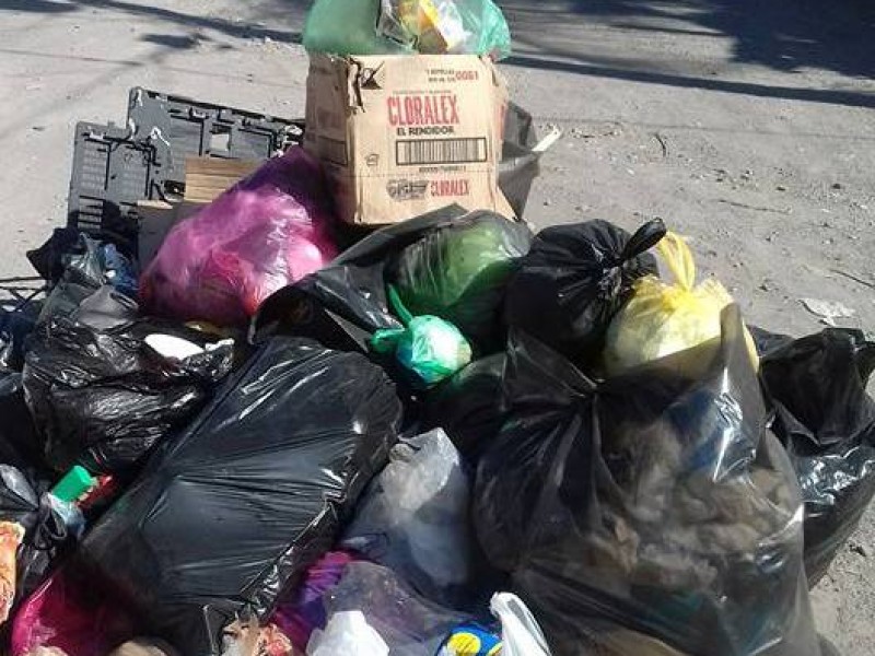 En quince días llegarán los carros recolectores