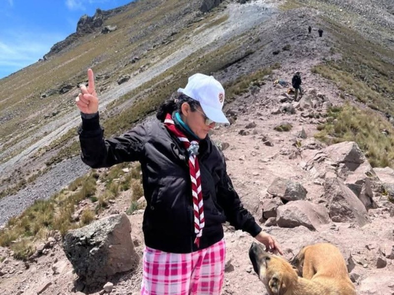 En redes hacen viral a firulais alpinista