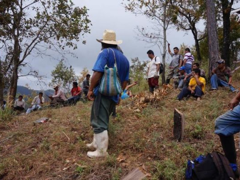 En riesgo 10 mil hectáreas de Oaxaca por mal peritaje