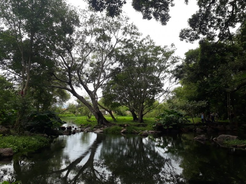 En riesgo área natural en Pantanal por contaminación