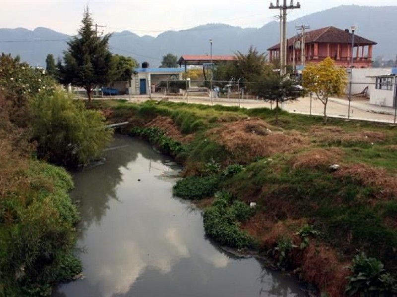 En riesgo especies que habitan en humedales en San Cristóbal