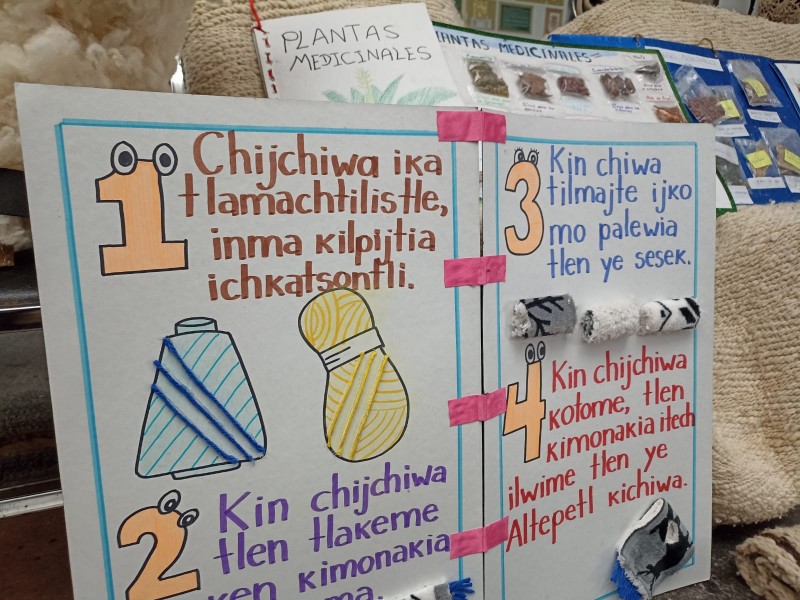 En riesgo lenguas indígenas en región, predomina español en alumnos