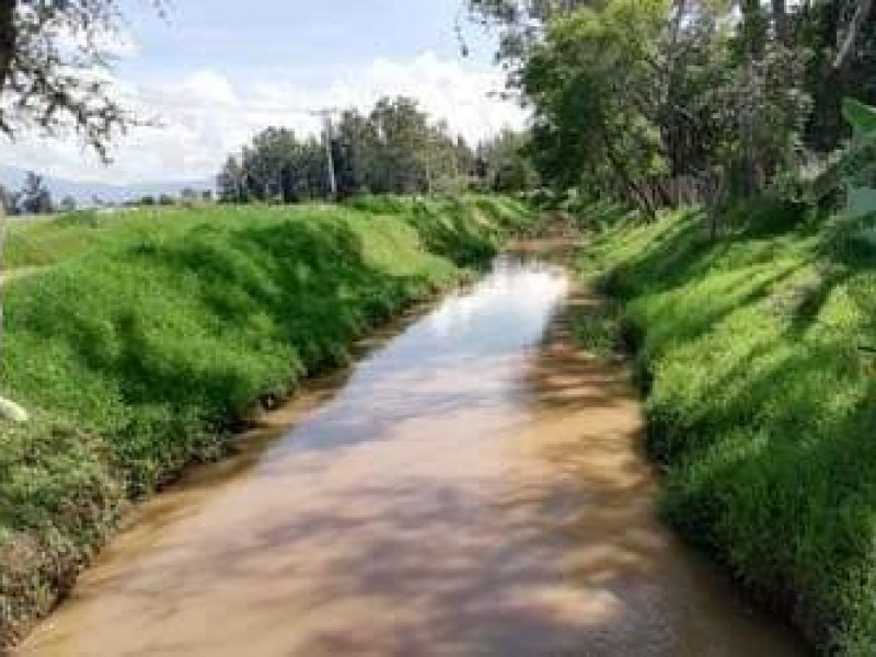 En riesgo producción agrícola regional, por contaminación de principales afluentes