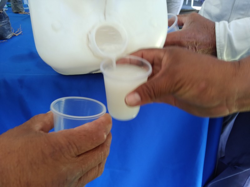 En riesgo producción de pulque, necesario impulso por autoridades