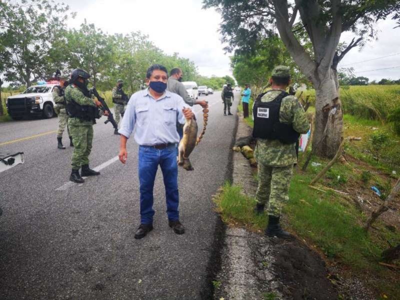 En Tabasco PROFEPA rescata 42 ejemplares de tortugas