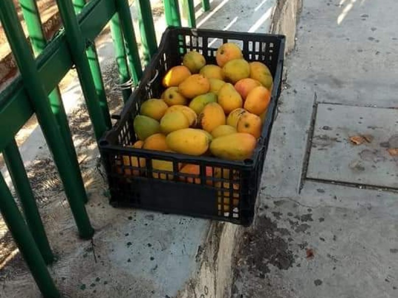 En tiempos de COVID-19 regalan mangos de Joyyo Mayu