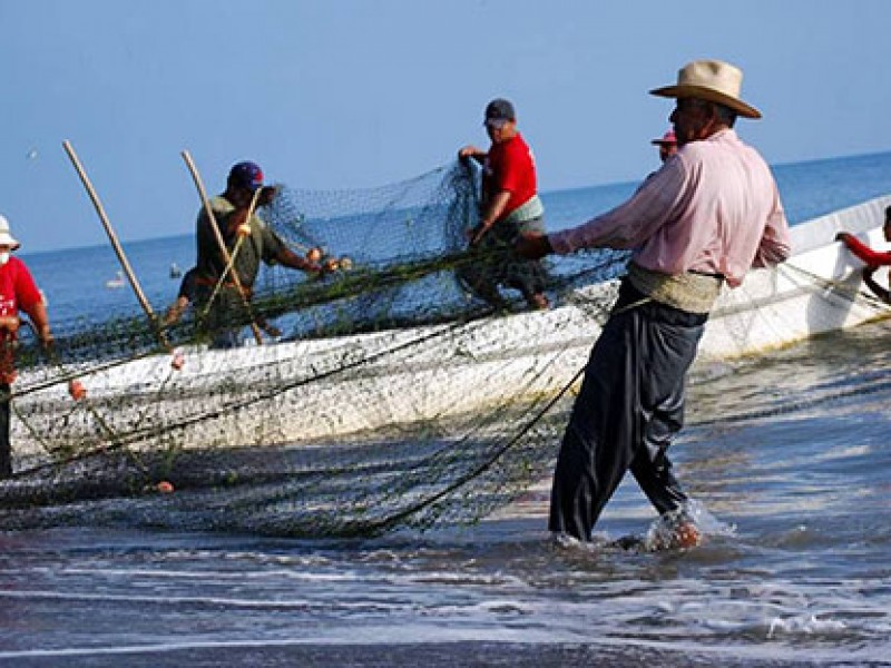 Pescadores bajan costo por kilo para intentar ganar dinero